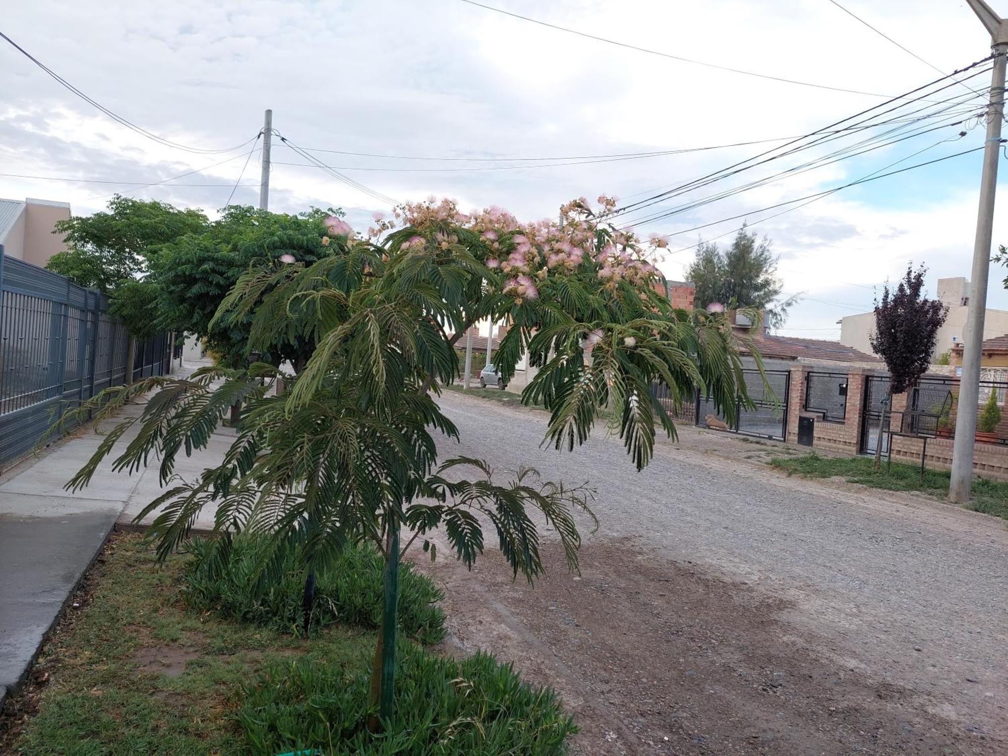 Habitacion Privada En La Casa De Thor Trelew Eksteriør bilde